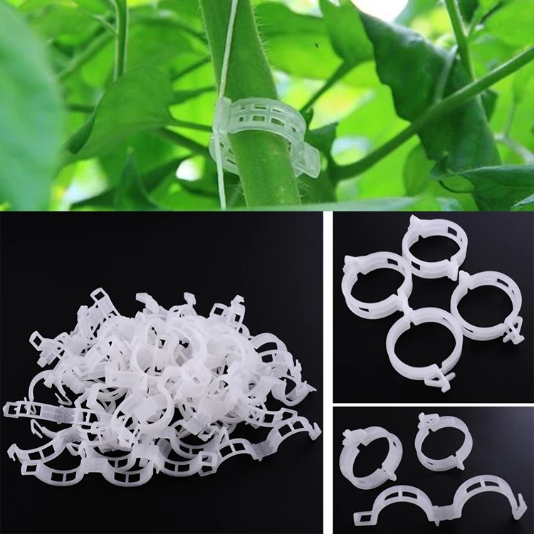 good price tomato and cucumber clips for vine crops