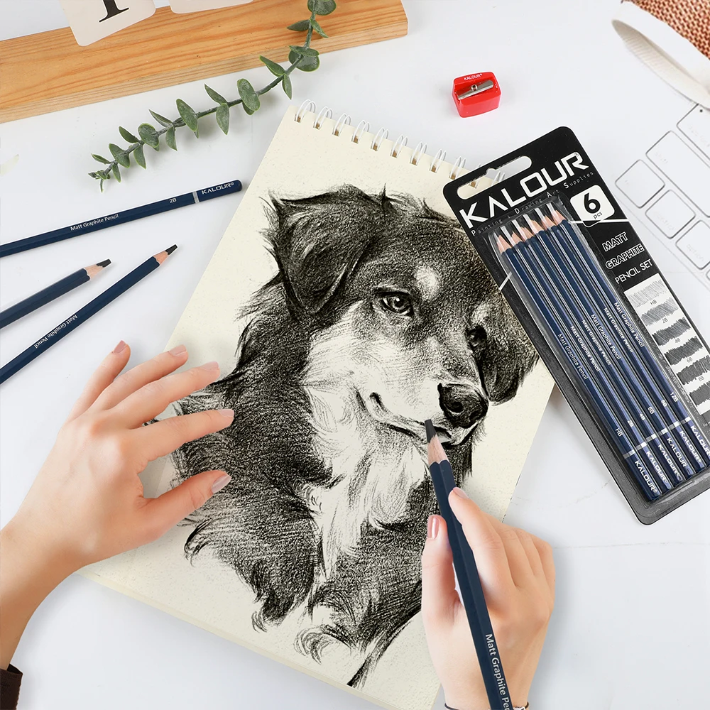 KALOUR Hot Sale High grade Soft Core Blister Pack Sketch Pencil 6pcs MATT Graphite Pencil for Artist and Student and Hobbist