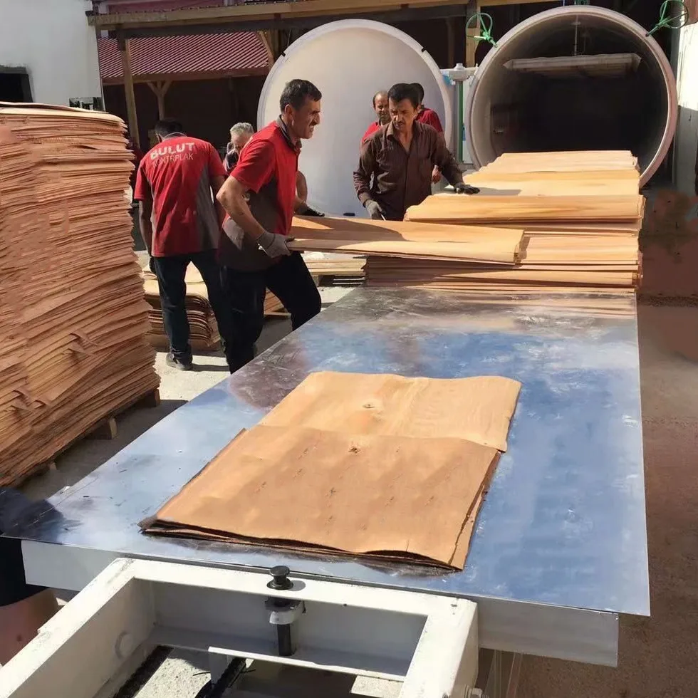 HFVD120-SA High Frequency HF Dry Wood Pine Sawn Timber Dryer 13CBM