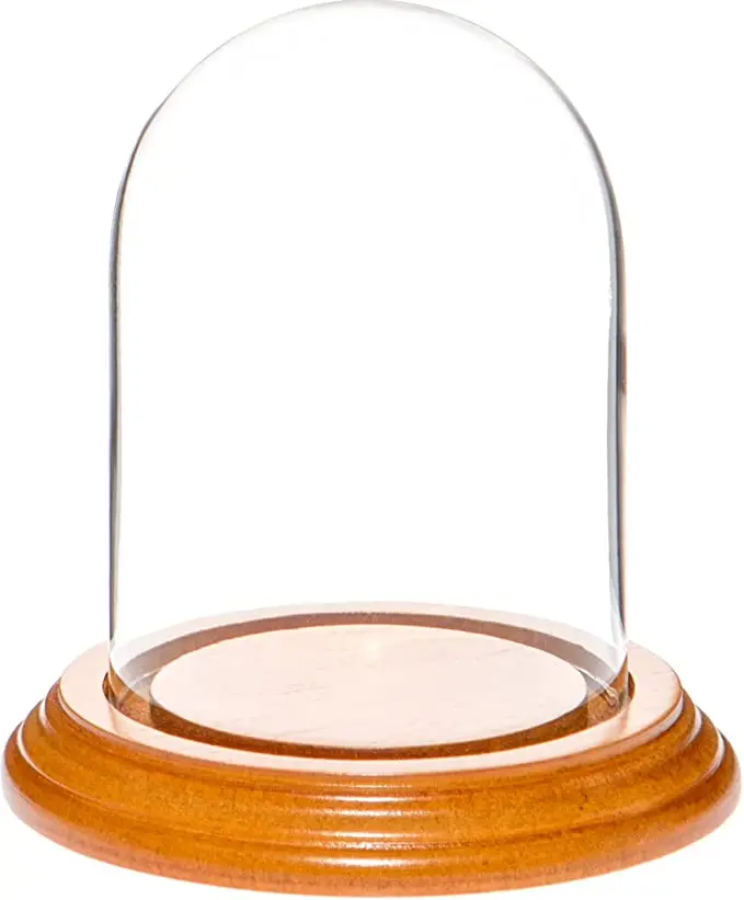 Прозрачный стеклянный Cloche стеклянный колпак витринный шкаф с круглой деревянной основе