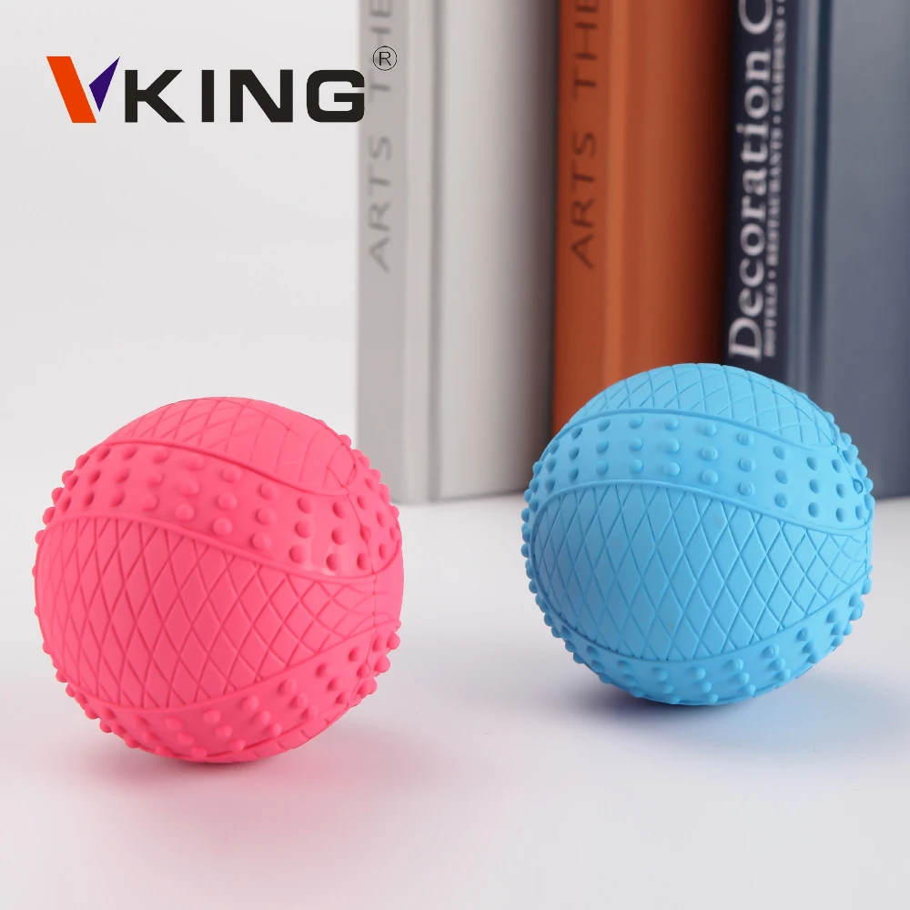  Vking Amazon Pets Bite Play interactive Training Squeaky dog