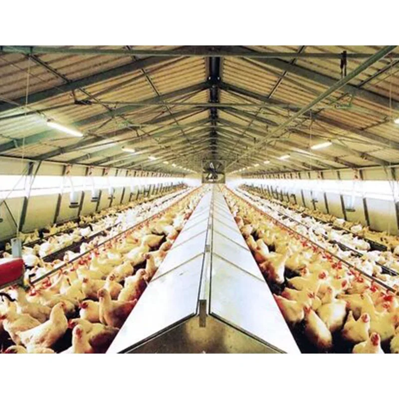 chicken farm construction / Thailand chicken farm