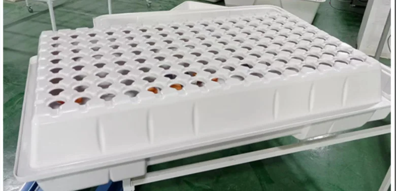 Hydroponic Cloner Aeroponic Tray Commercial Hydroponic Cloning Machines 20/28/33/40/80/128 hole Hydroponic planting tray