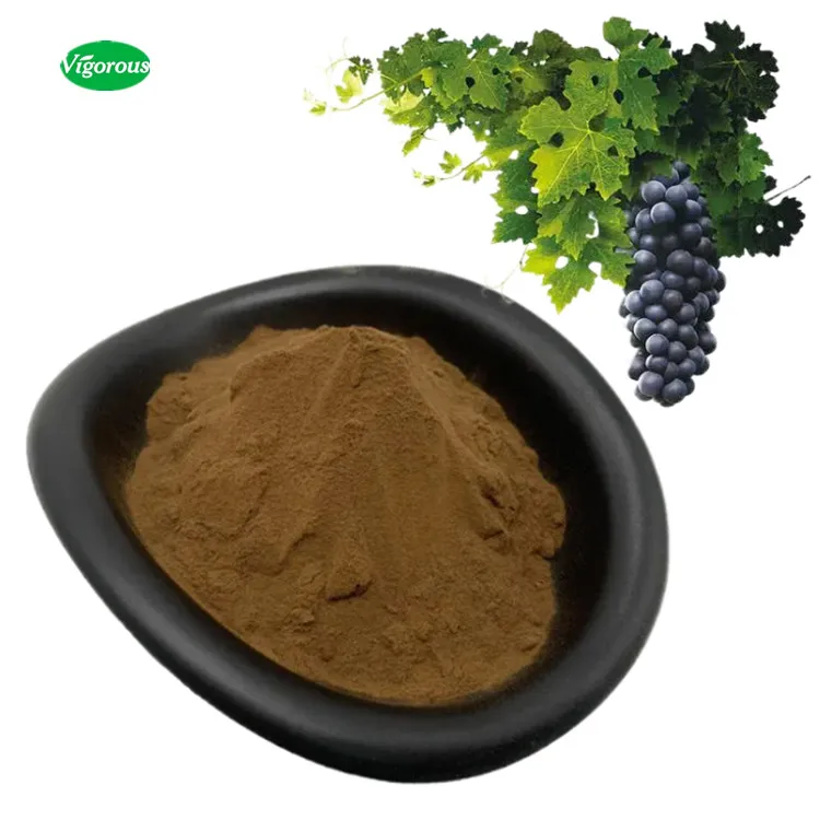 95%OPC Vitis vinifera Grape Seed Extract Natural Grape Leaf Extract Powder