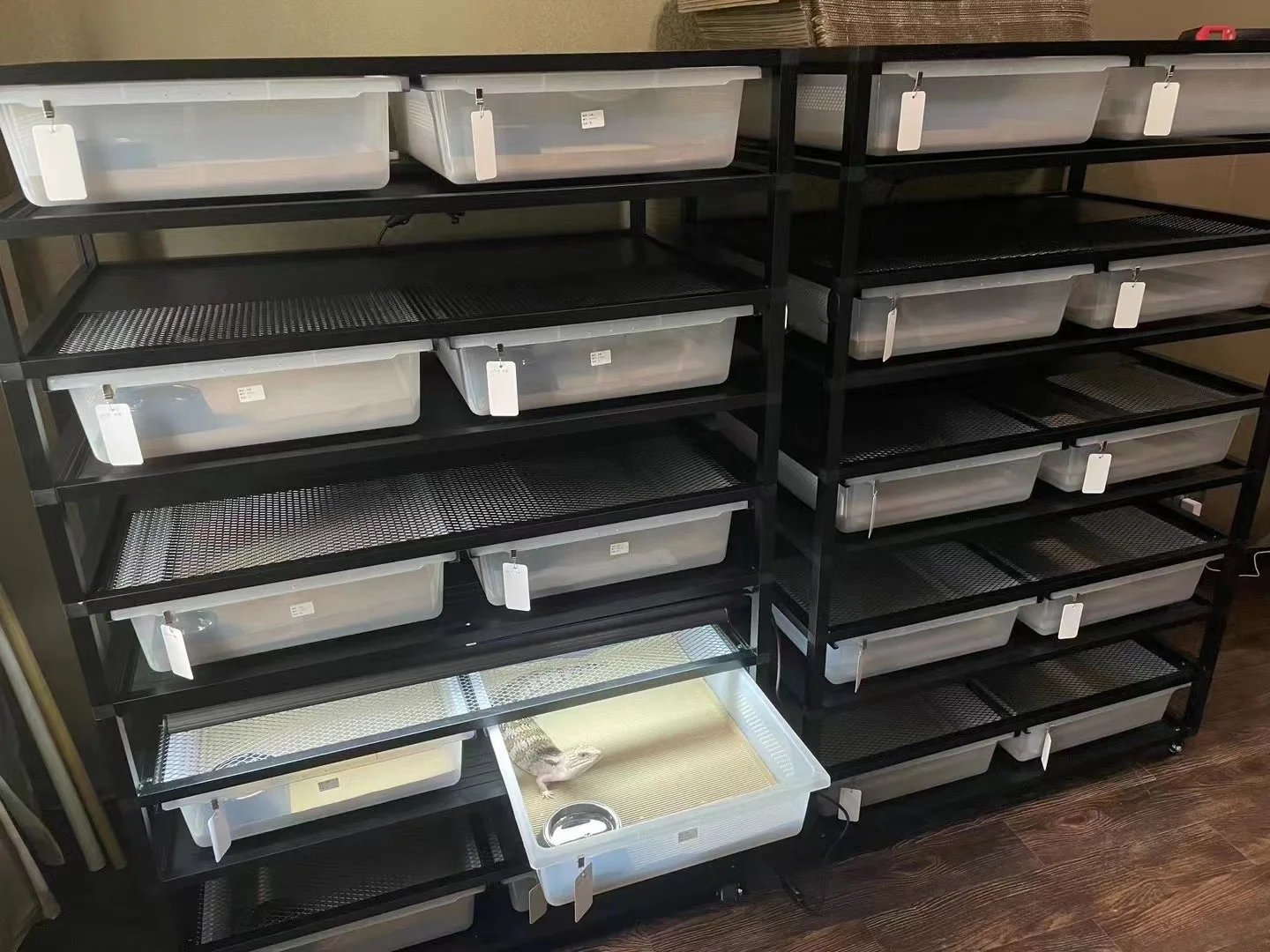 Live Large Heated Reptiles Accessories Snake Rack System Plastic PVC Breeding Box Tubs Snake Rack Cages