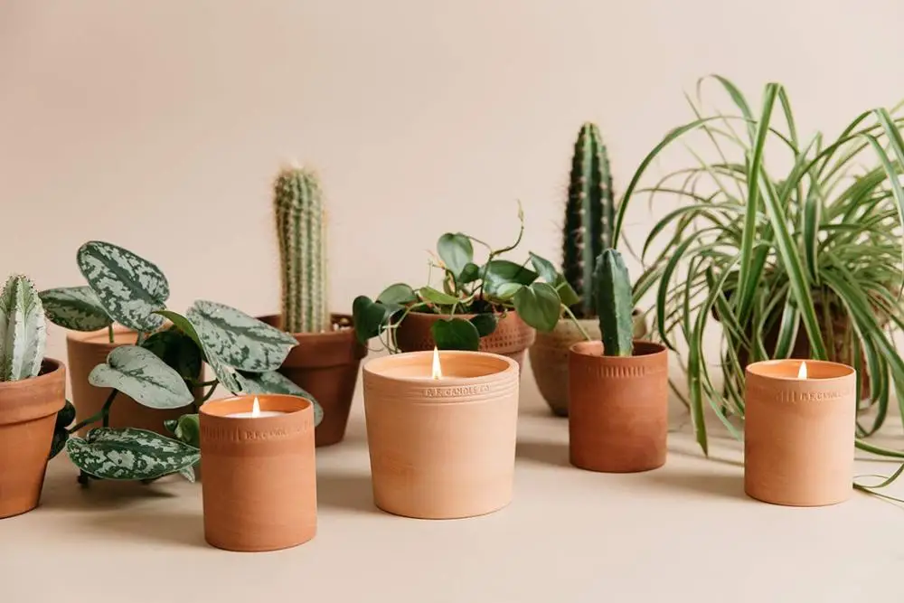 Neutral Blush Terracotta Vessel Candle Holder Pot