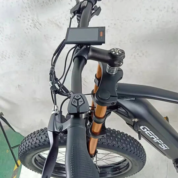 Высококачественный горный велосипед 26 дюймов для электрического велосипеда bicicleta electrica 1000 Вт мотор для электрического велосипеда