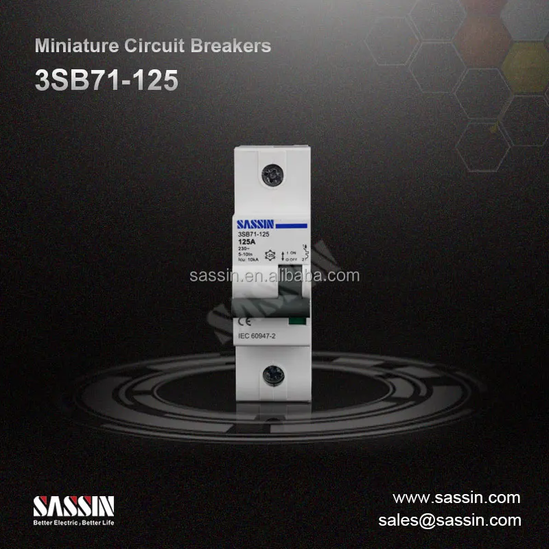 3SB71 Single Pole CE MCB Circuit Breaker 80A 100A 125A SASSIN  10KA 125A