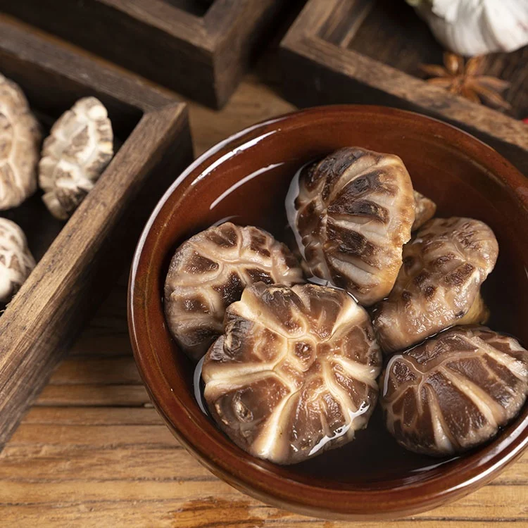 China Dried shiitake mushroom Whole Dried package Organic Shiitake Mushroom