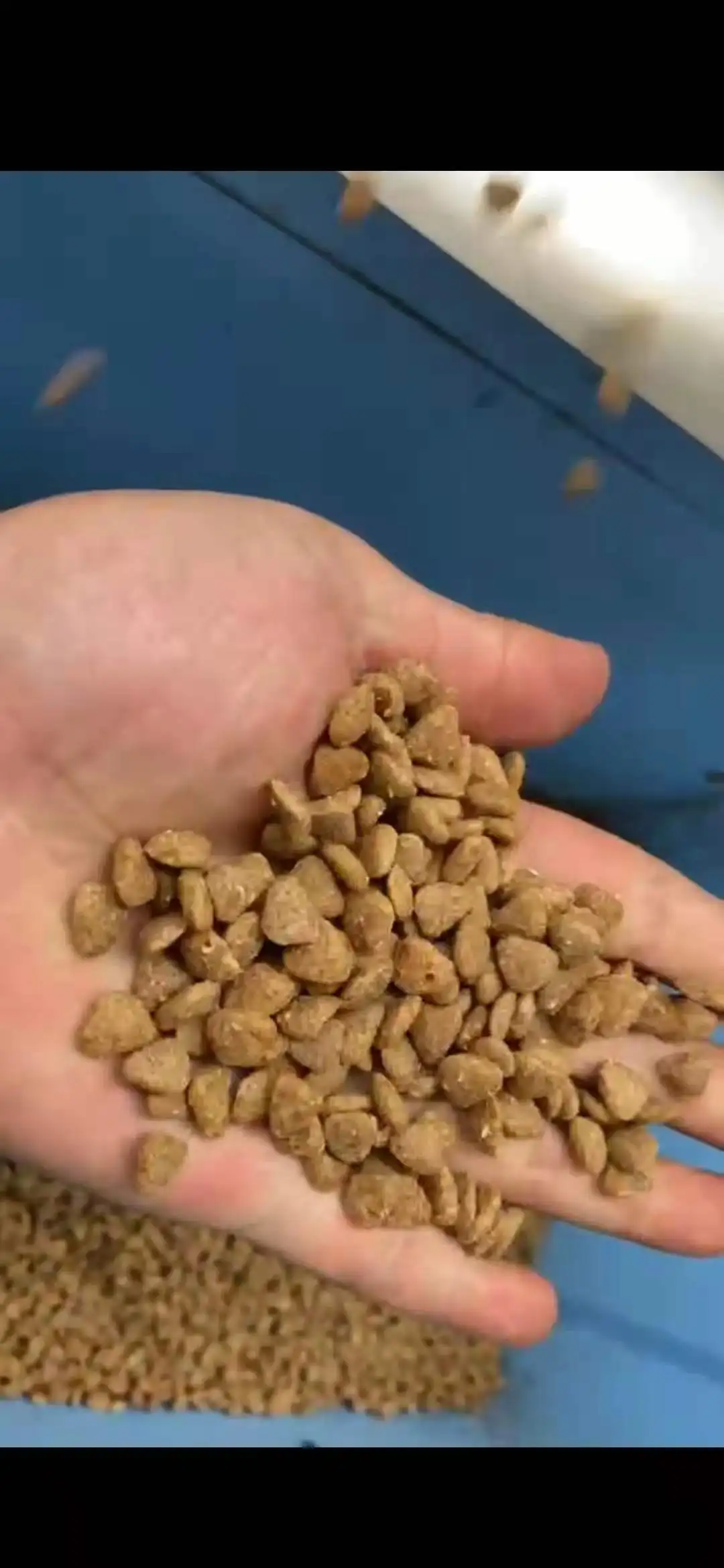 Commercial Fish Feed Pellet Making Machine Price Floating Fish Feed Extruder Machine