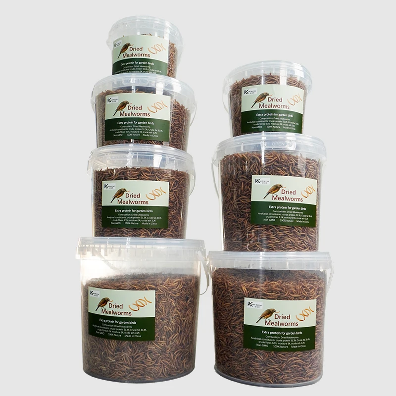 DRIED MEALWORMS MEALWORMS BLACK SOLDIER FLY LARVAE from China