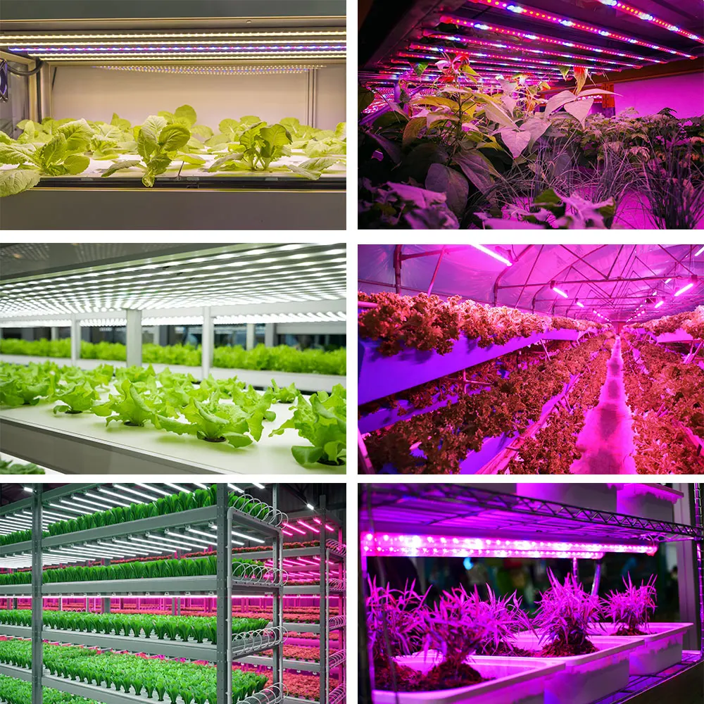 T5 lighting full spectrum grow for veg and flower 18w led grow light