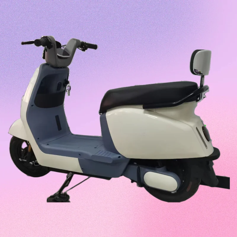 2024 New 48V60V High-Power Adult Electric Bicycle Multi-Functional Pedal Electric Vehicle with Digital Electronic Smart Types