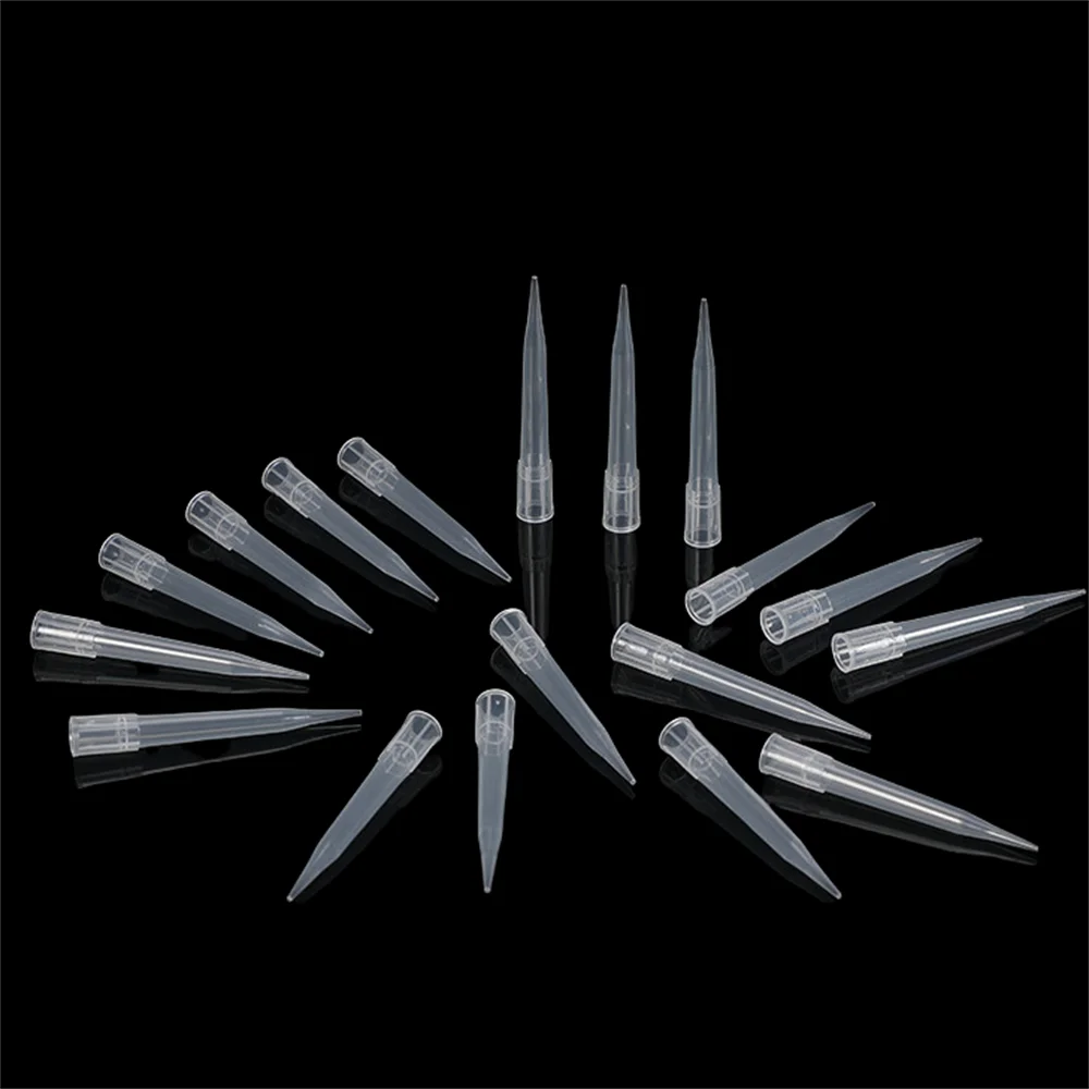 250uL Filter Tips Bagged Boxed Sterile Pipette Tips