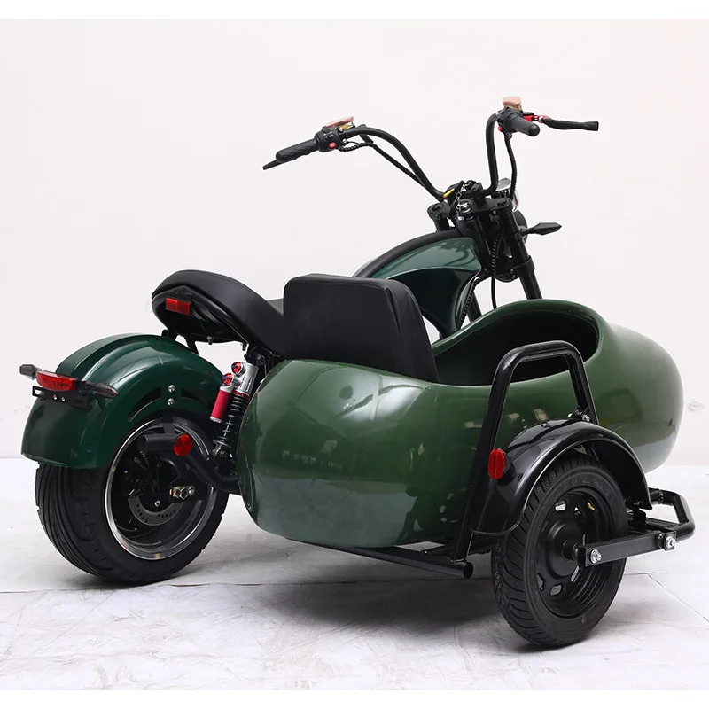 USA/Australia Warehouse Fat Tire Electric Tricycle Sidecar E-bike Carry Pets Three Wheel Pedal Assist 4000W Road Ebike Sidecar