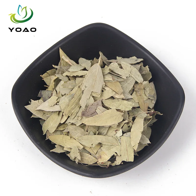 High Quality Dried Senna Tea Dried Senna Leaves Low Price Slimming Herbal Tea in Bulk