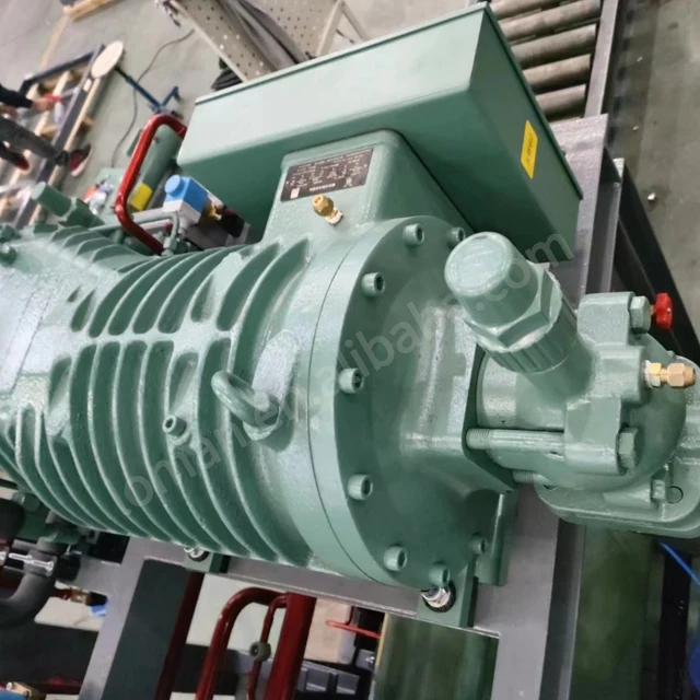 Germany Original semi hermetic refrigeration 75hp screw compressor Bit-zer HSN7471-75 china price