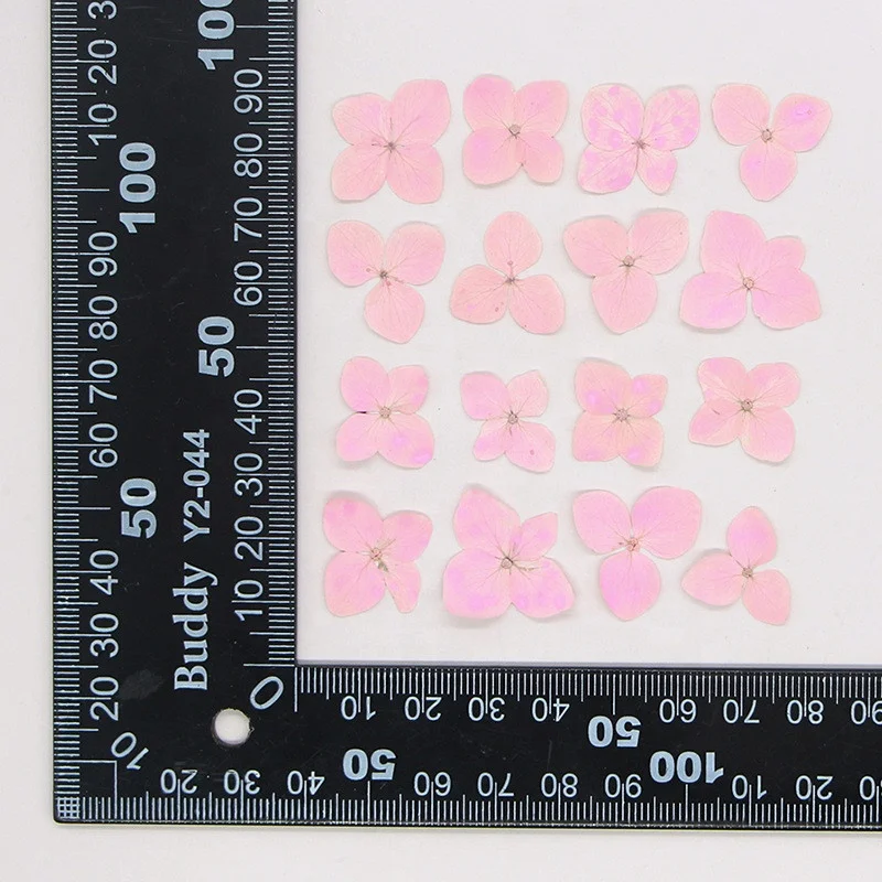 Wholesale Diy Handmade Nail Art Material dried flowers pressed Anna hydrangea flower for Bookmark and Phone case