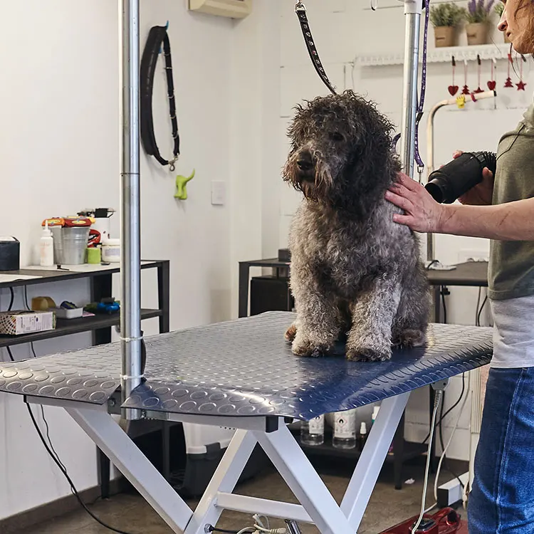 Low-Low dog grooming equipment  non slip rubber power quiet low low Electric lifting pet grooming table With socket