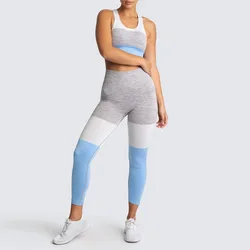 Women Seamless Ombre Bodybuilding Workout Gym Fitness Leggings and Tops Yoga Set Wholesal 2021