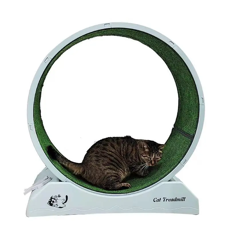 Interesting Running Wheel Silent Household Interactive Pet Tread Exercise Cat Climbing Frame Cat Treadmill