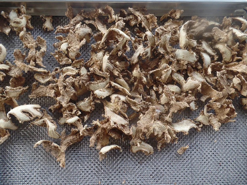 Easy Operation food Dryer For Drying  fruits  vegetables meat seafood Powered By solar or Electricity With Small Footprint