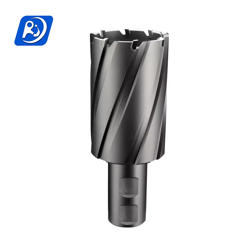 CHTOOLS good quality 12*50mm TCT annular cutter drill bit with weldon shank