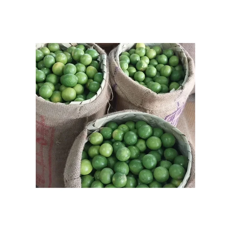 Custom Packing Fresh Lemon 100% natural fresh low price and high quality from Indian supplier Wholesale Purchase