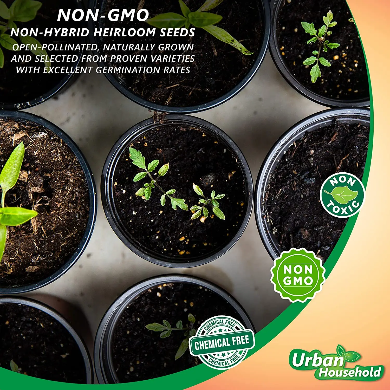 
Seeds Squash Zucchini Light Green Heirloom Vegetable for Planting Non GMO 