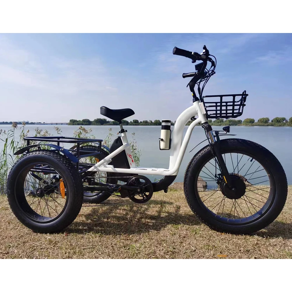 2024 New Style 500W Front Hub Motor Cargo Electric Tricycle 13Ah Lithium Battery Electric Tricycles Three Wheel Fat Tire Bike
