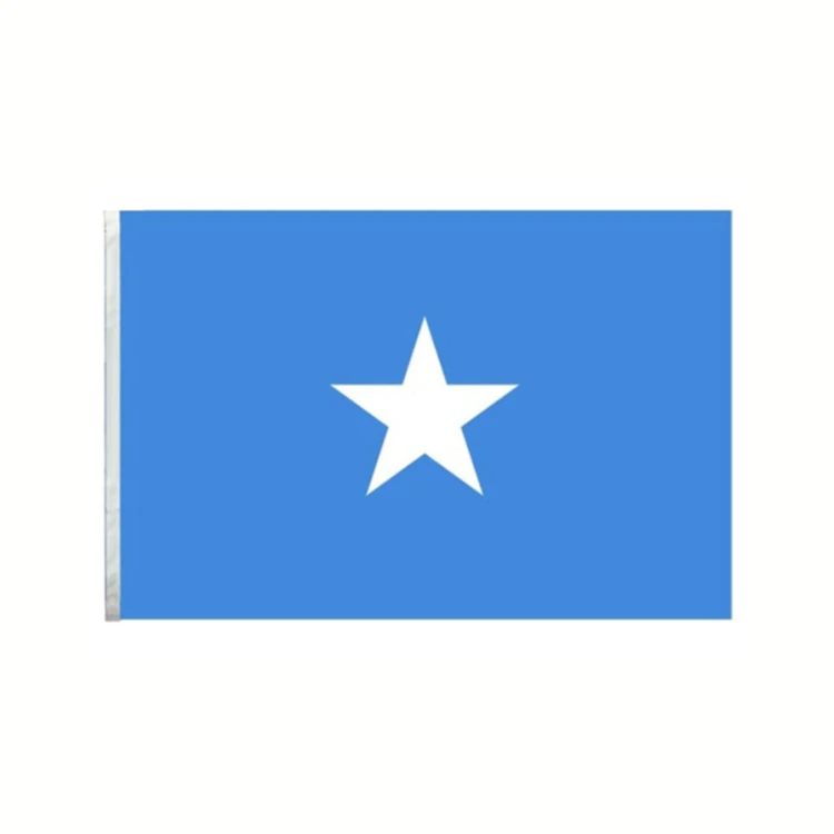 Custom 90*150cm polyester flag printing cheap national Somalia world flag all countries