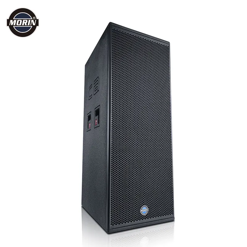 900 Watts Powerful Big Pro Audio PA Speaker System for Live Show Contert