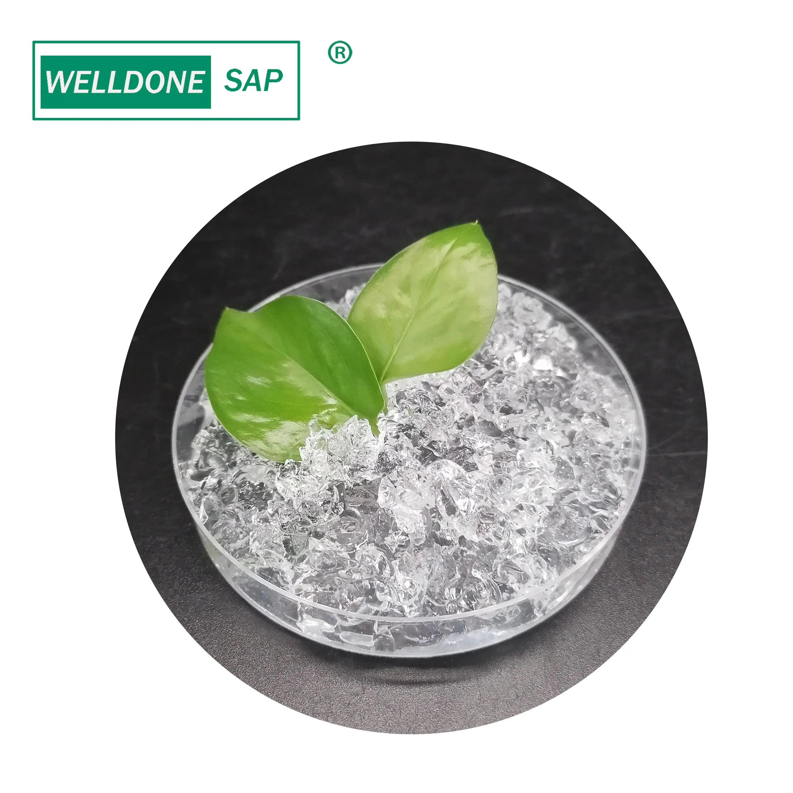 Полиакрилатный калий, удерживающий воду полимерный укоренение для растительного порошка