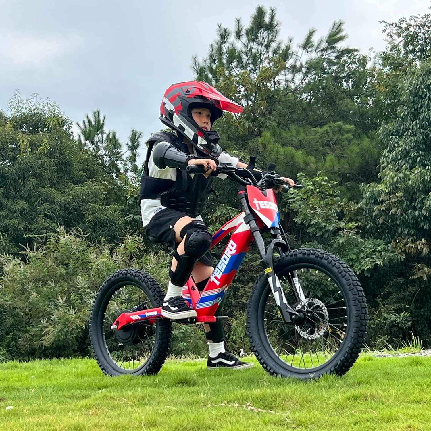 Горячие продажи 18 дюймов 20 электрический велосипед 350 Вт 500 Электрический баланс