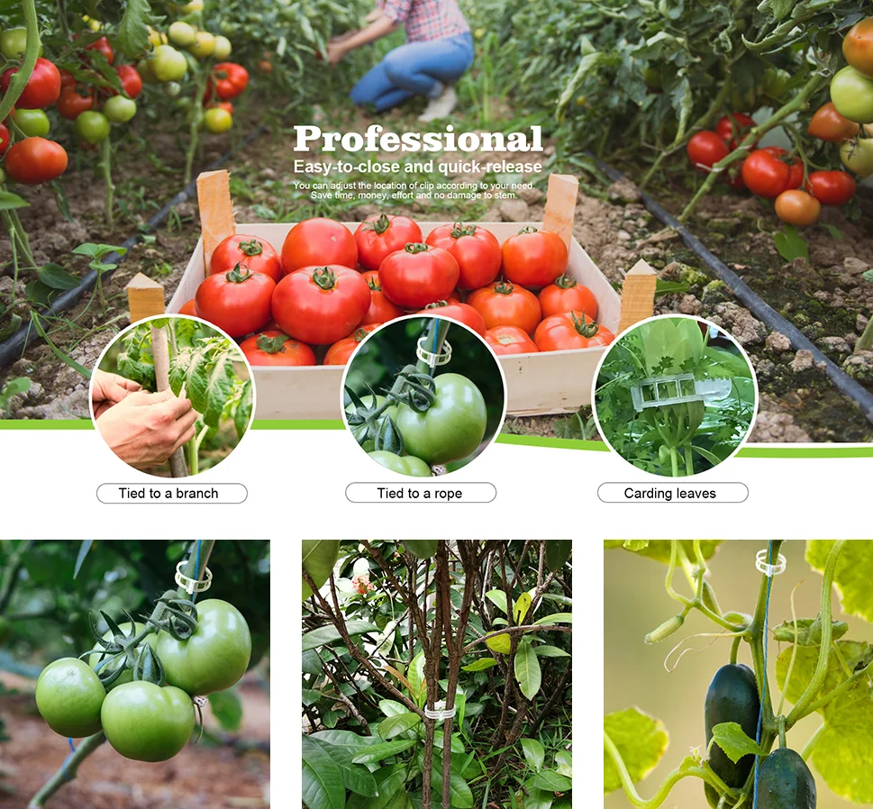 Reusable Transparent Plastic Vegetables Tomato Plant Clip Gardening Tools Accessories Plastic Fixture Plant Clips