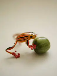 Delicious premium matcha drop Japanese hard candy green snacks