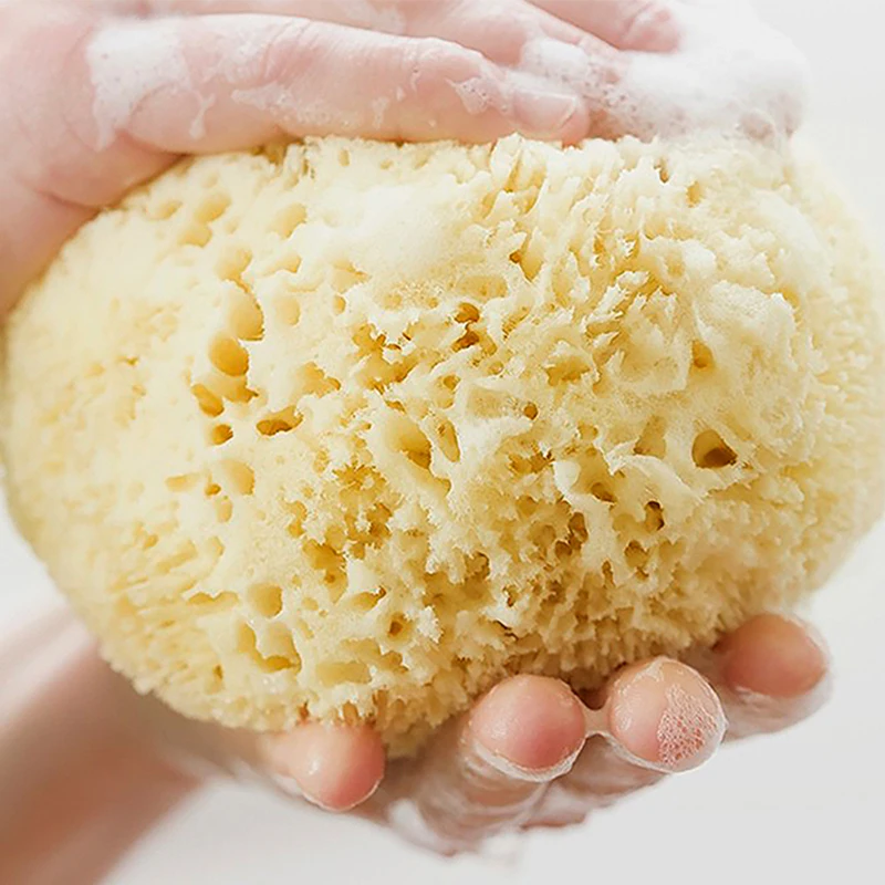 100% Natural Sea Sponge From The Sea Customized Packing Natural Sea Sponge For Baby Bath