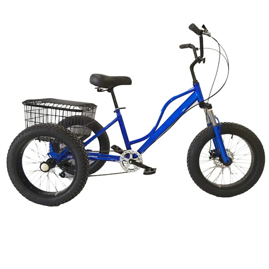 New Original 500 Lb Weight Capacity Adult Tricycle Petrol Auto Rickshaw Tuk for Sale