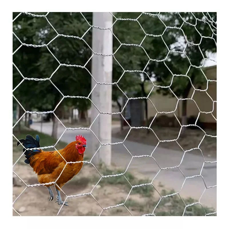 Hot Dip Galvanized Iron Wire Mesh fencing poultry Netting Hexagonal Chicken cage Wire Mesh Roll