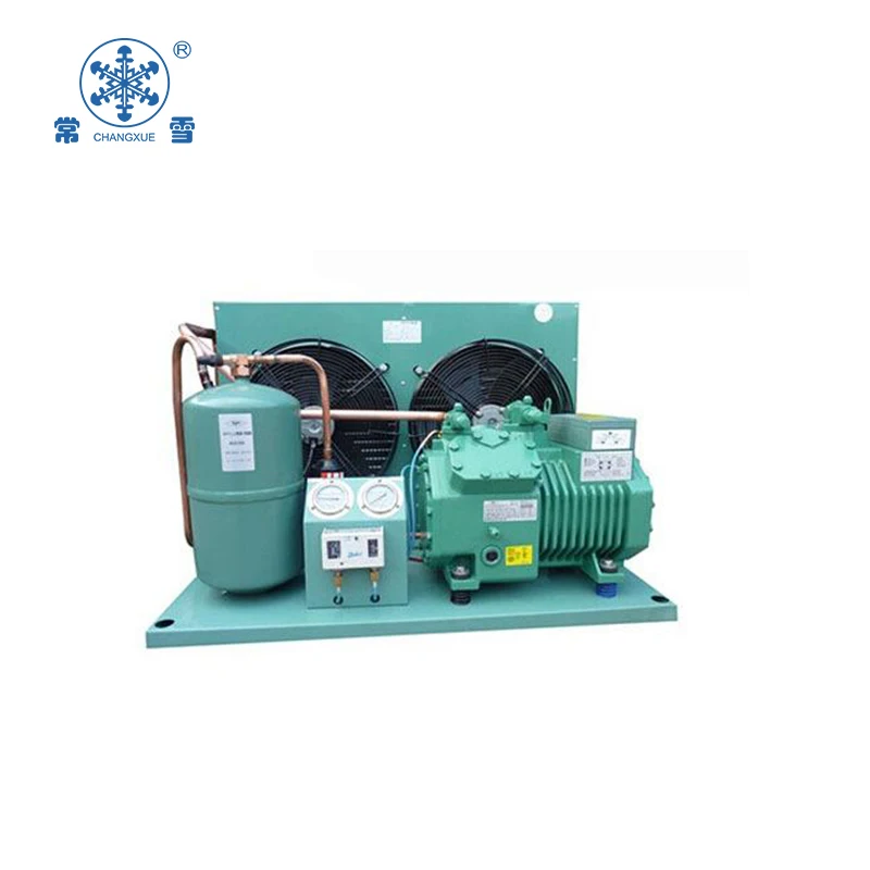 small air freezer for meat