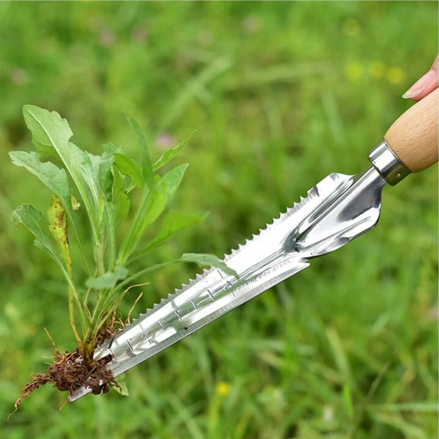 Garden Manual Weeding Tools Wooden Handle Stainless Steel Head for Easy Weeder Removal Transplanting Pruning Digging Gauging