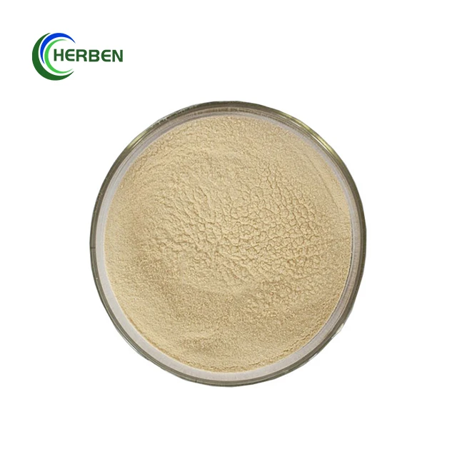 Herben High Quality 70% 80% 90% Yeast Beta Glucan Powder