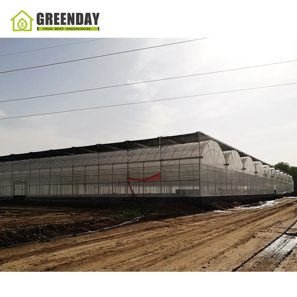 
GREENDAY Steel rolling seedbed tables expanded mesh seeding bed greenhouse bench for plants 