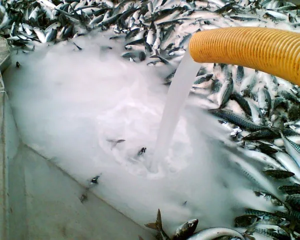 Koller 1000ky/day Slurry Ice Machine for Pipe Cleaning Ice Pigging SF10 Africa