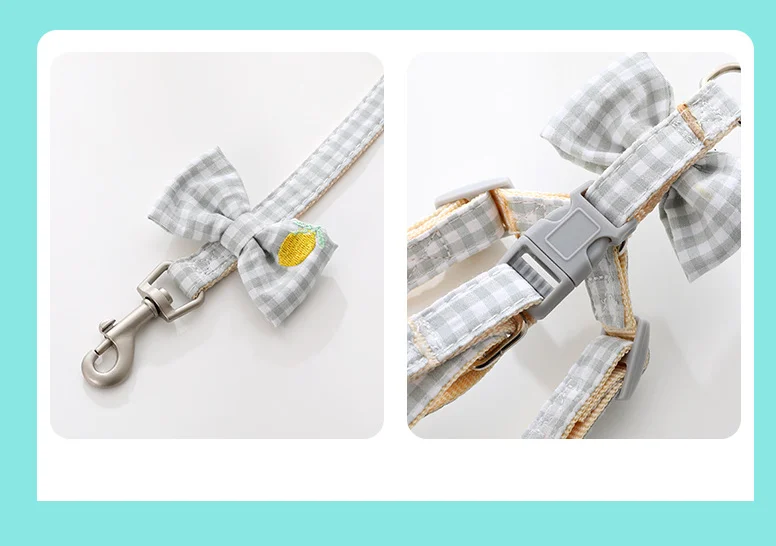 New spot Pipi Tao clear fresh wind fruit embroidery lead rope small and medium-sized dog teddy leash dog leash