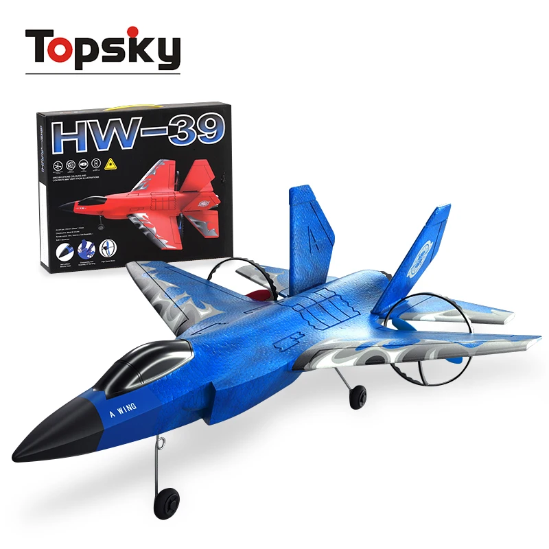 High Quality 2.4Ghz 2.5 Channel Foam EPP RC Model Plane With Light Foam Electric Remote Control Fighter Airplane Glider Toys