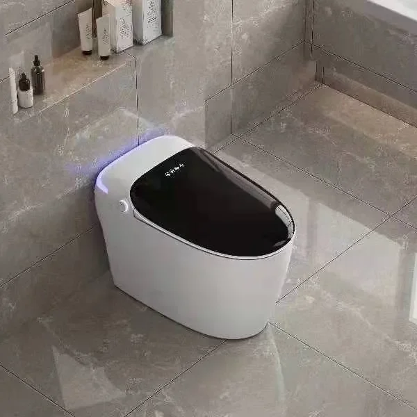 Stepon Factory Manufacture Smart Home Luxurious Toilet Floor Mounted smart toilet WC inteligente latest nutikas tualett Smart WC