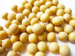 Japanese high quality protein nutritious natural soybean bean snacks
