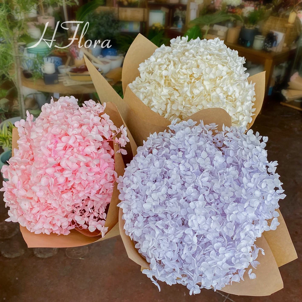 Hflora Factory Purple Pink Preserved Hydrangeas Flowers Wholesale Dried Hydrangeas preserved big leaf hydrangeas
