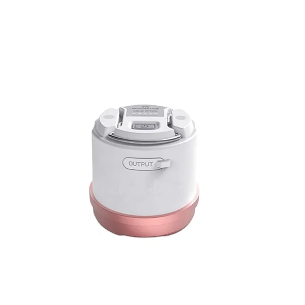 tendencia 2020 fashion design newly multi-functional uvc sterilizer for friends gift